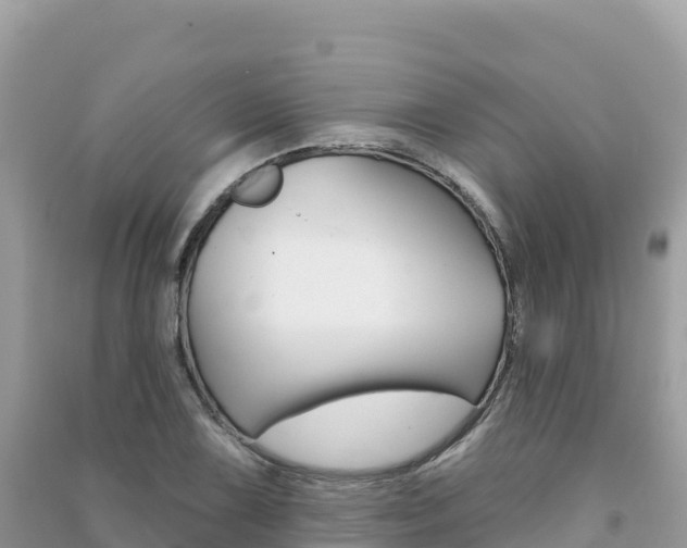 X0000091311075200708101104