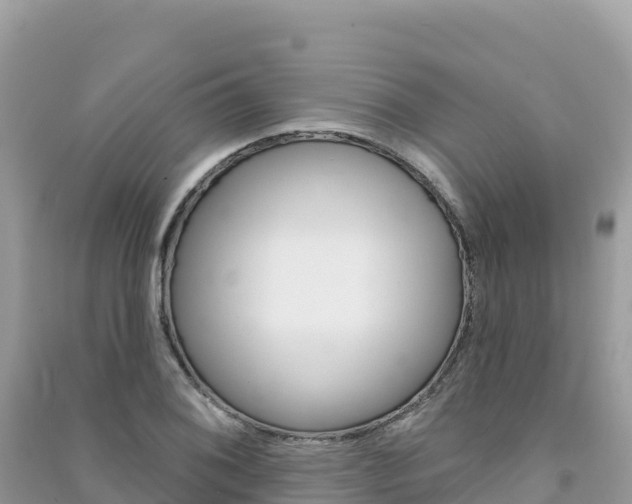 X0000091311076200708101104