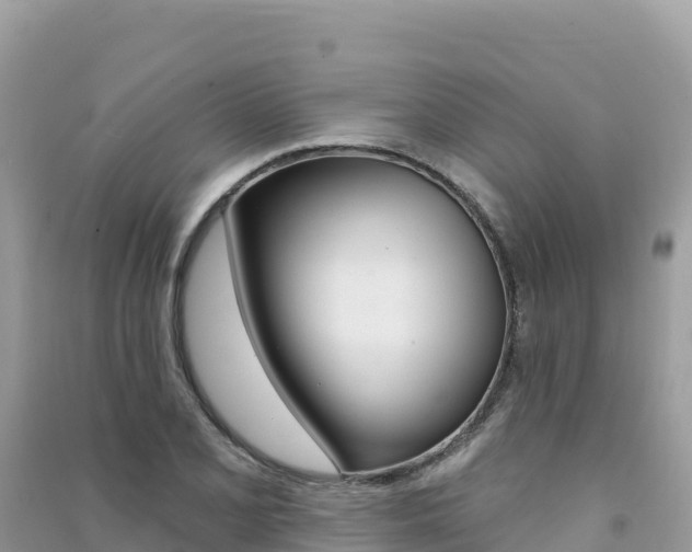 X0000091311077200708101104