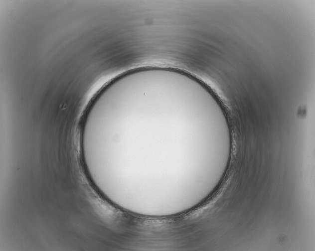 X0000091311078200708101104