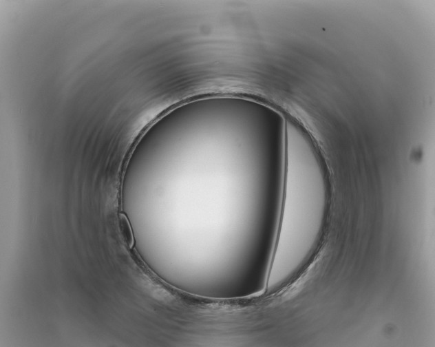 X0000091311081200708101104