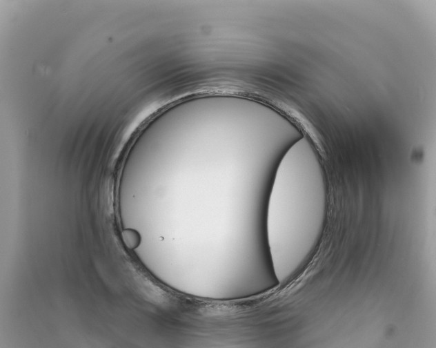 X0000091311083200708101104