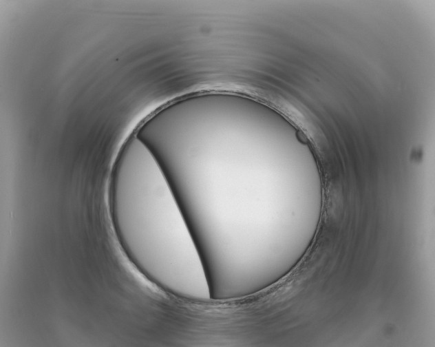 X0000091311084200708101103