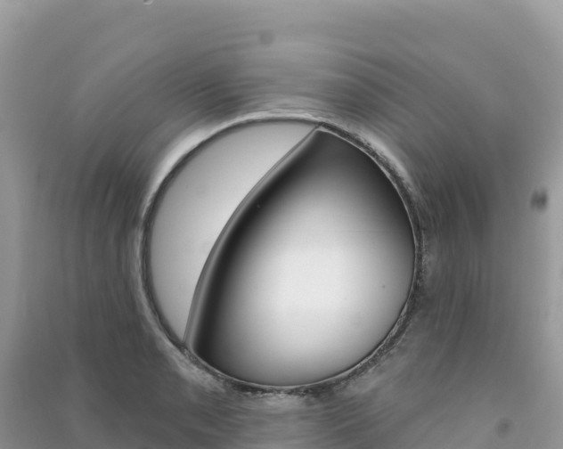 X0000091311085200708101103