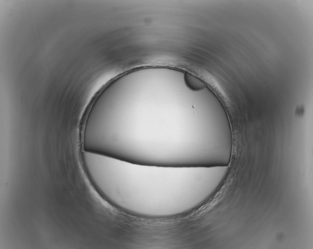X0000091311087200708101103