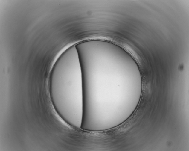 X0000091311092200708101103