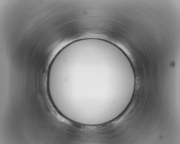 X0000091311094200708101103