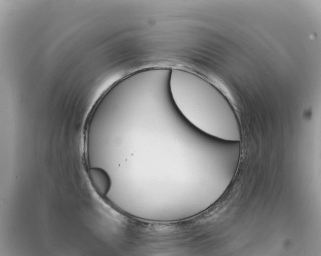 X0000091311095200708101103