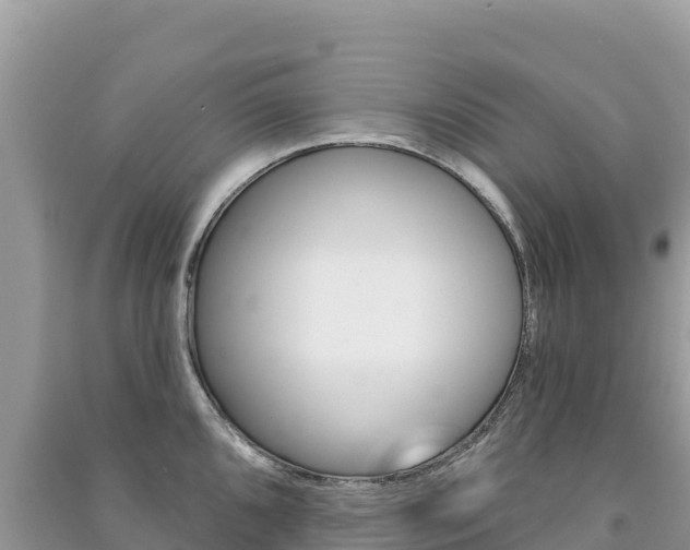 X0000091311096200708101103