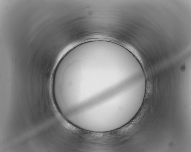X0000091311098200708101103