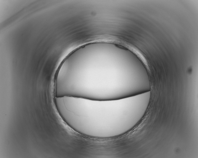 X0000091311099200708101103
