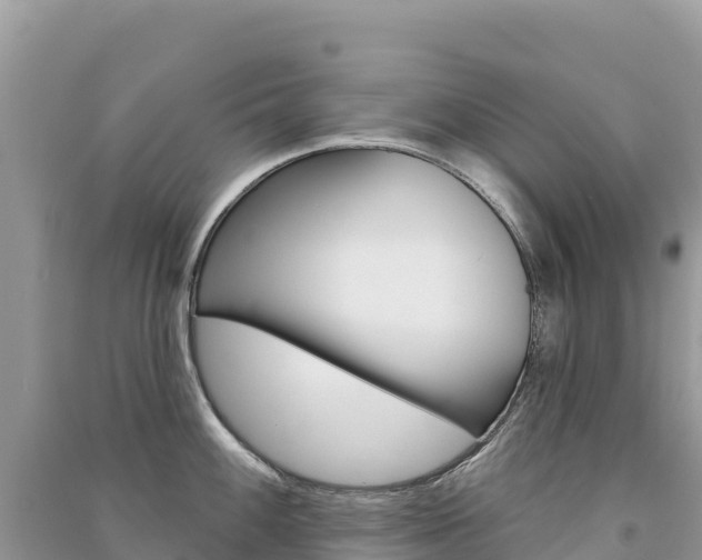 X0000091311100200708101103
