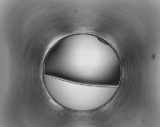 X0000091311102200708101103