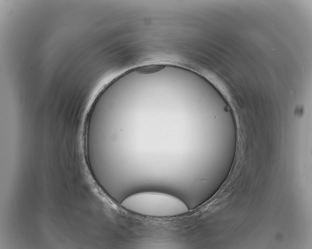 X0000091311104200708101103