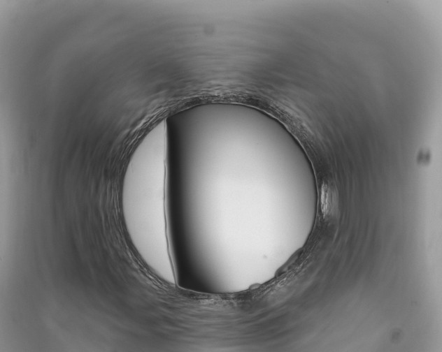 X0000091311107200708101103