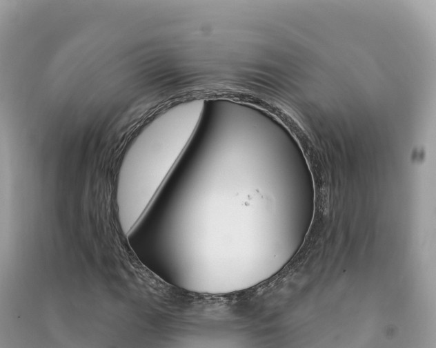 X0000091311111200708101103