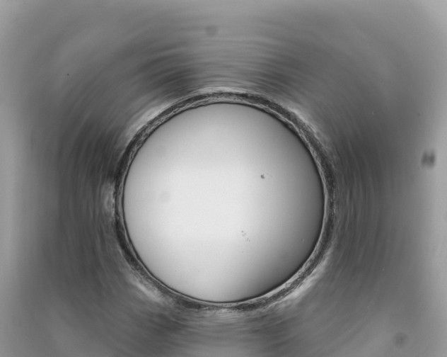 X0000091311113200708101103
