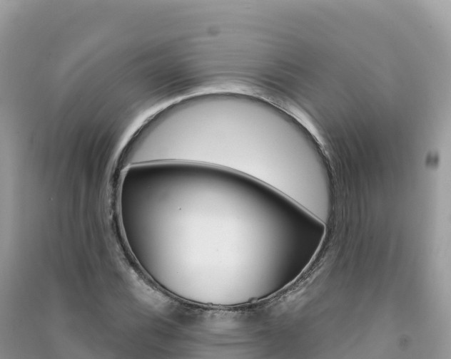 X0000091311116200708101103