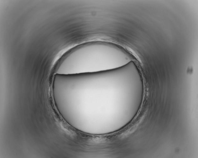 X0000091311117200708101103