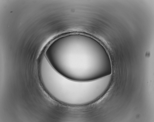 X0000091311118200708101103