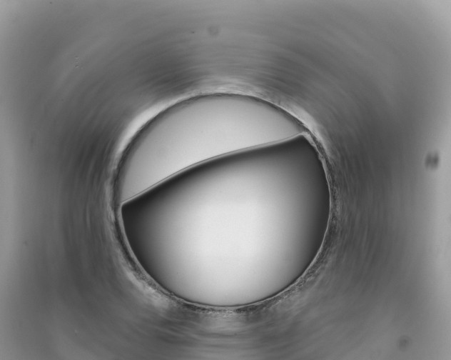 X0000091311120200708101103