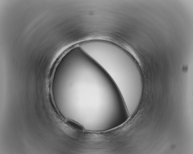 X0000091311124200708101103