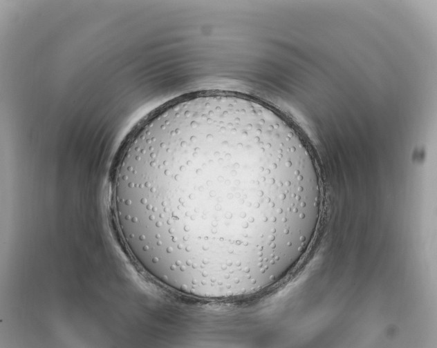 X0000091311125200708101103