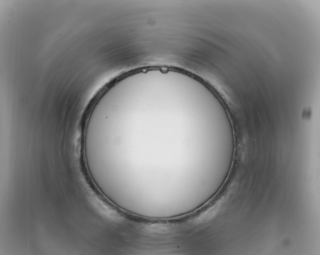 X0000091311126200708101103