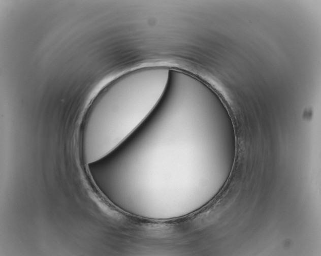 X0000091311127200708101103