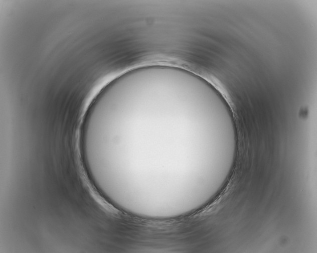 X0000091311128200708101103