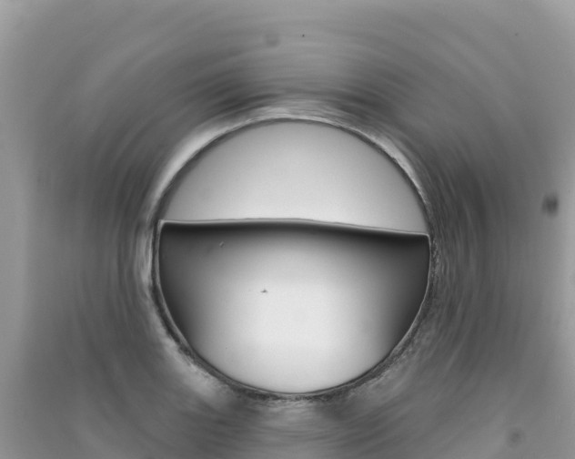 X0000091311131200708101103