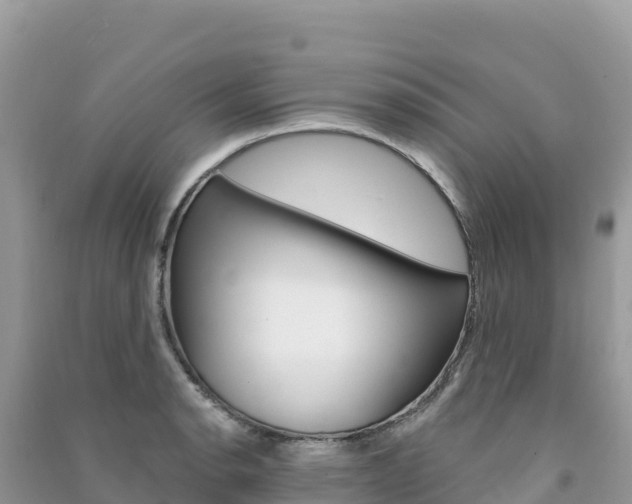 X0000091311134200708101103