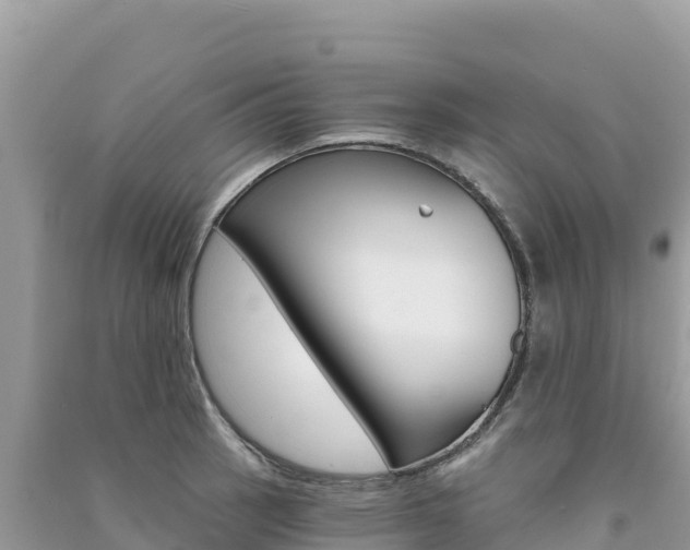 X0000091311137200708101103