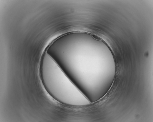 X0000091311139200708101103