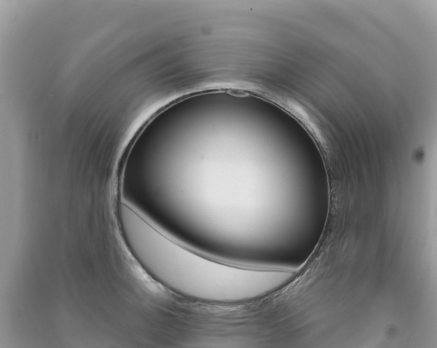 X0000091311140200708101103