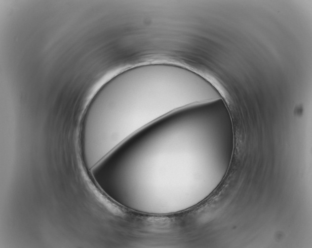 X0000091311142200708101103
