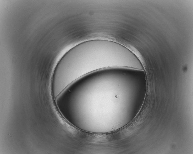 X0000091311144200708101103