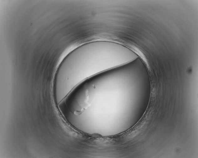 X0000091311146200708101103