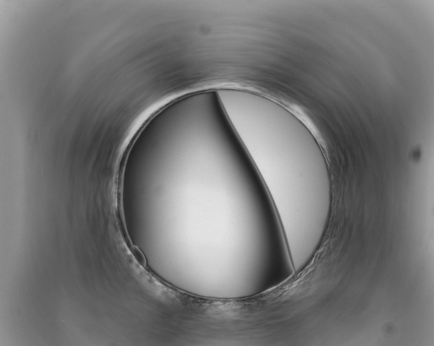 X0000091311148200708101103
