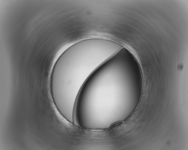 X0000091311152200708101103