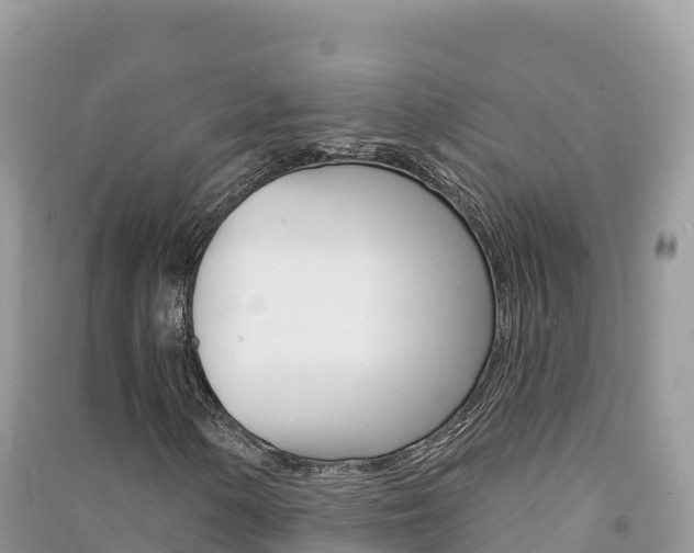 X0000091311154200708101103