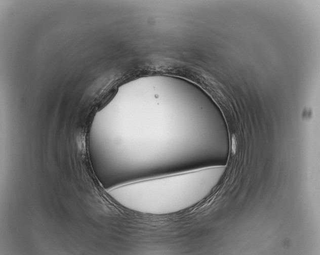X0000091311155200708101103