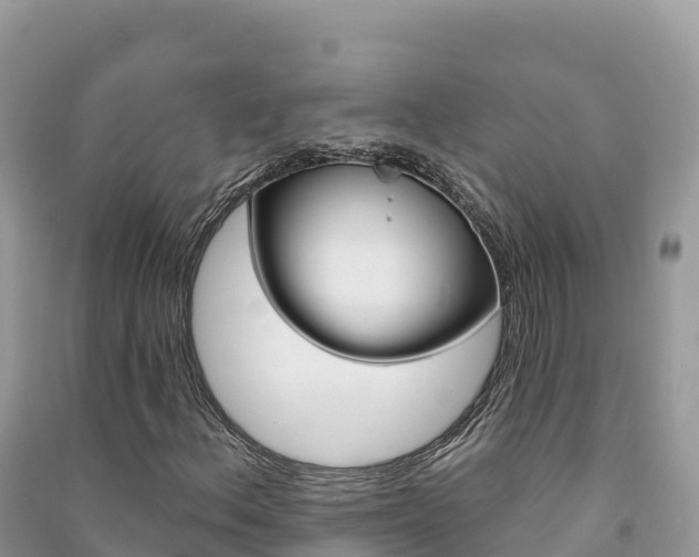 X0000091311156200708101103