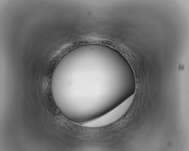 X0000091311157200708101103