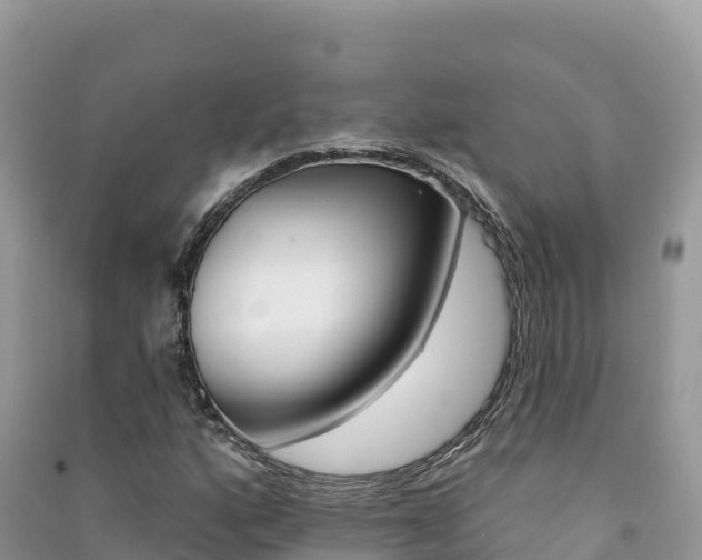 X0000091311160200708101103