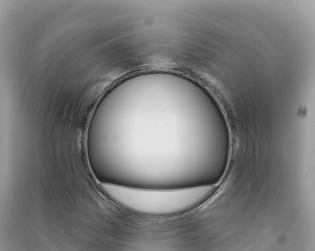 X0000091311161200708101103