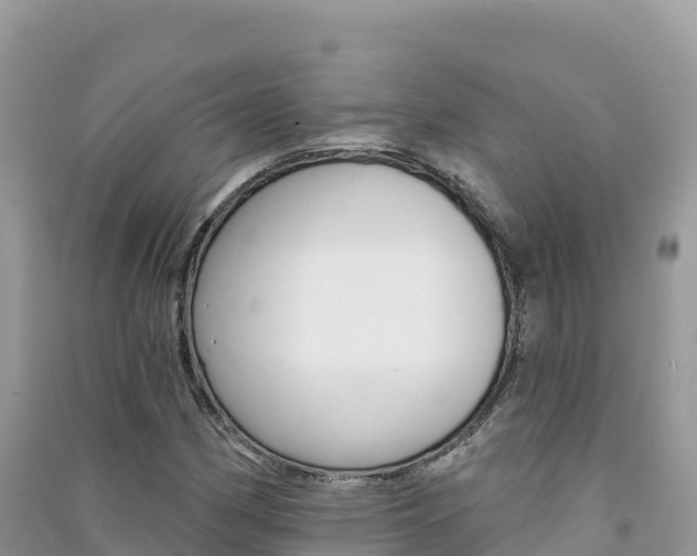 X0000091311162200708101103
