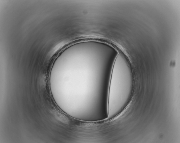 X0000091311163200708101103