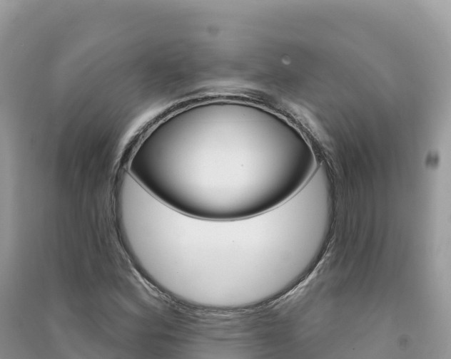 X0000091311164200708101102