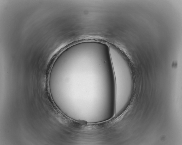 X0000091311165200708101102